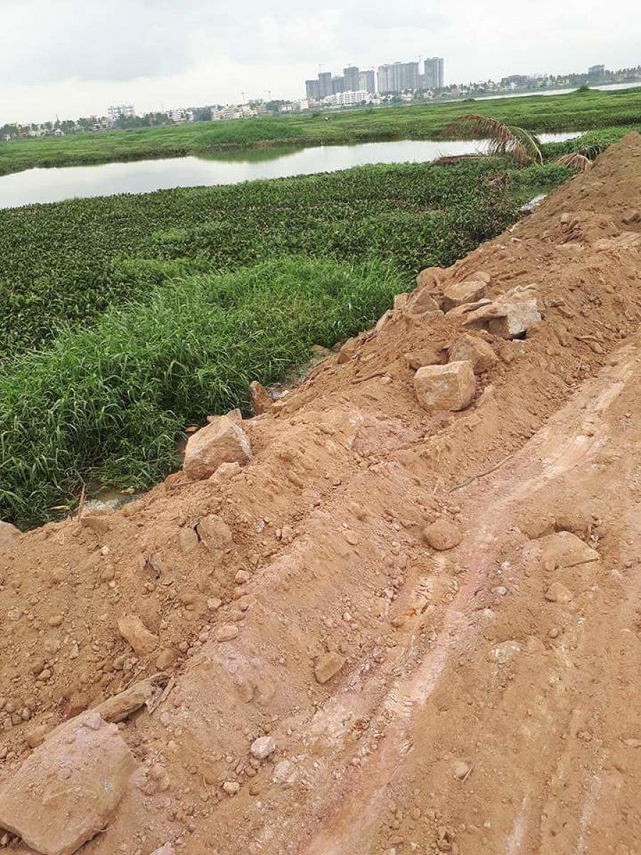 The Karnataka State Pollution Control Board (KSPCB) aims to check apartments that discharge sewage into the Kommaghatta and Challaghatta Valley.