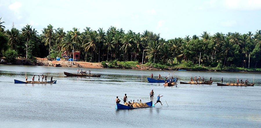 Sand-laden boats in the Gurpur river near Mangaluru. (DH Photo/ Govindraj Javali)