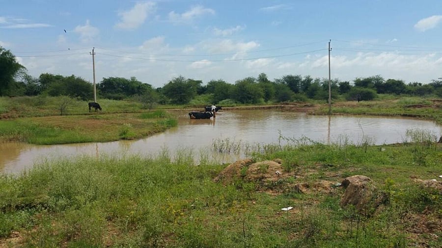 After repeated protests of citizens to stop encroachment of rajakaluve at Yamare lake in East Bengaluru, which was partially closed to allow for road construction is being widened by Yamare Panchayat now.