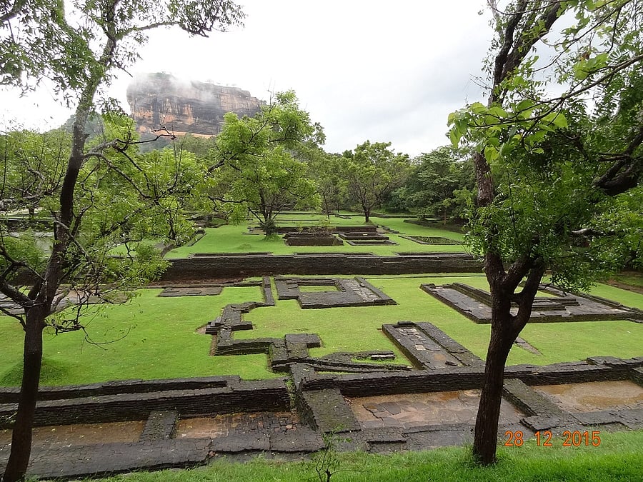 Parts of the Water Garden.