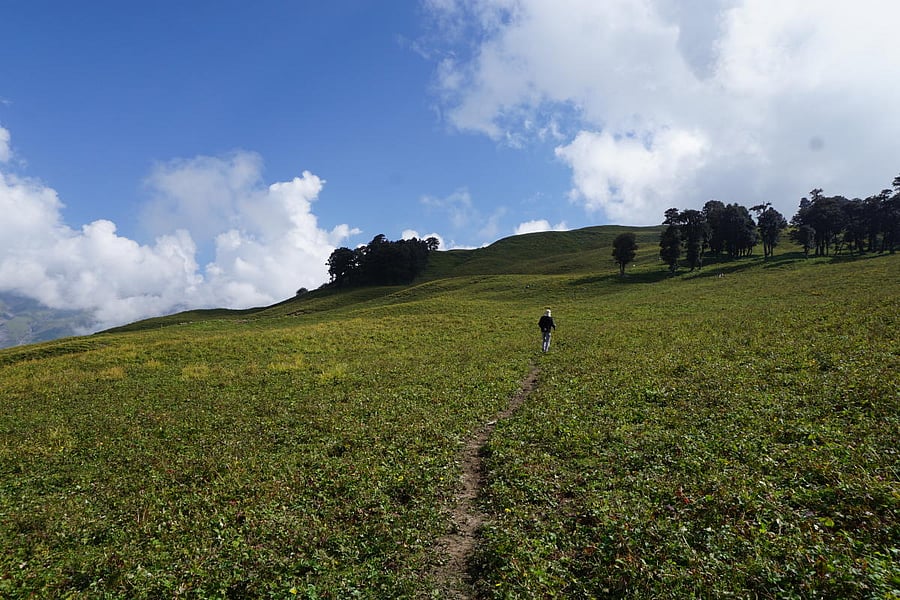 Thailand may benefit after Malaysia said it will halt exports of 3.6 million chickens a month from June 1