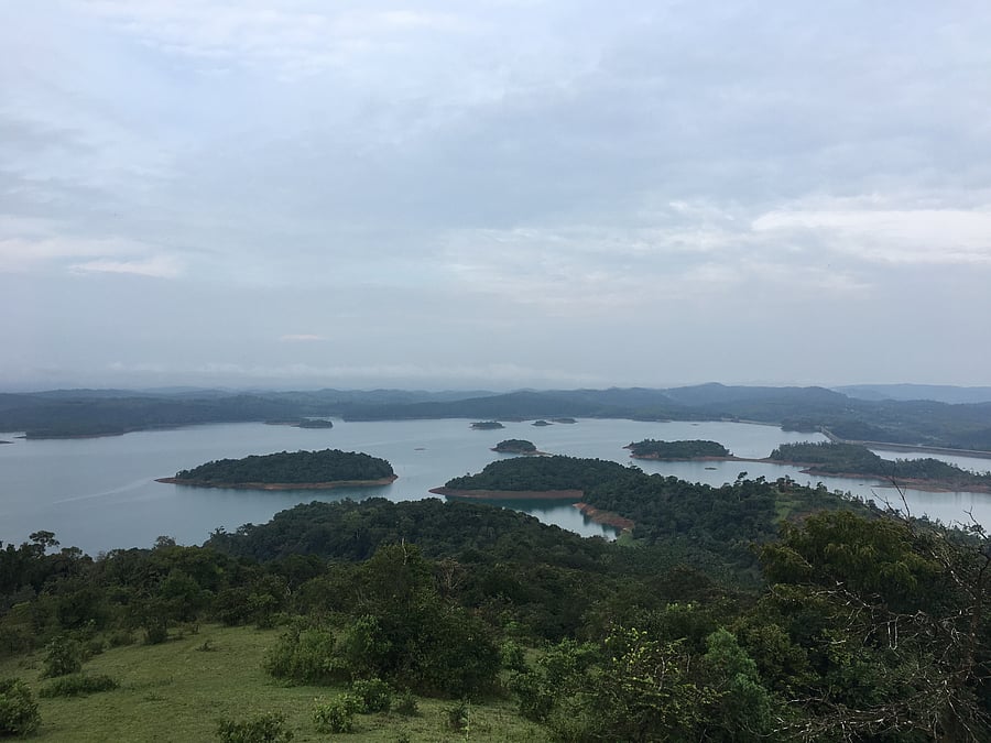 Honnemaradu