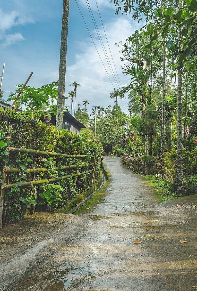 Street_in_Mawlynnong