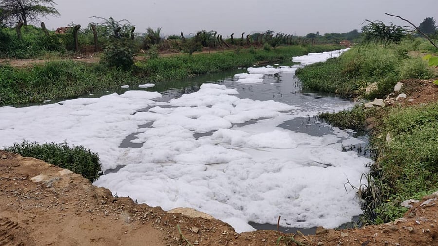 The Kalkere Lake near Ramamurthy Nagar started frothing after a week of heavy rain, going the Bellandur way.