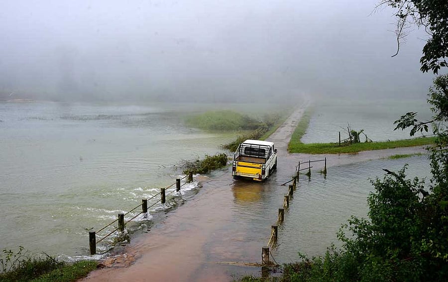 With the rain, the inflow of water to river Bhadra and its tributaries have increased. The rain also watered paddy fields. (DH File Photo)