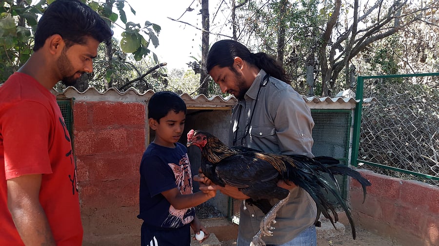 A unique sanctuary where children commune with rescued animals