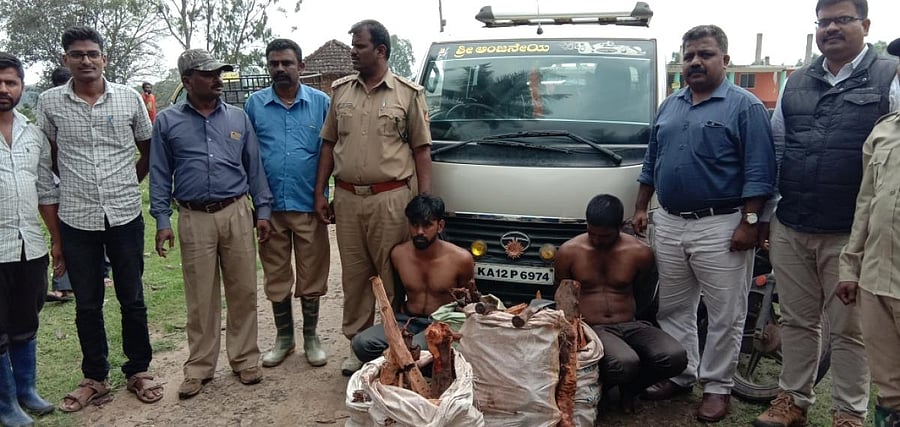 Forest Department personnel arrested two persons in connection with the illegal transportation of sandalwood.