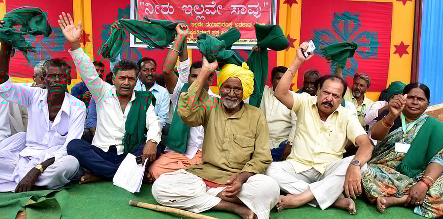 Mahadayi protest. DH photo.