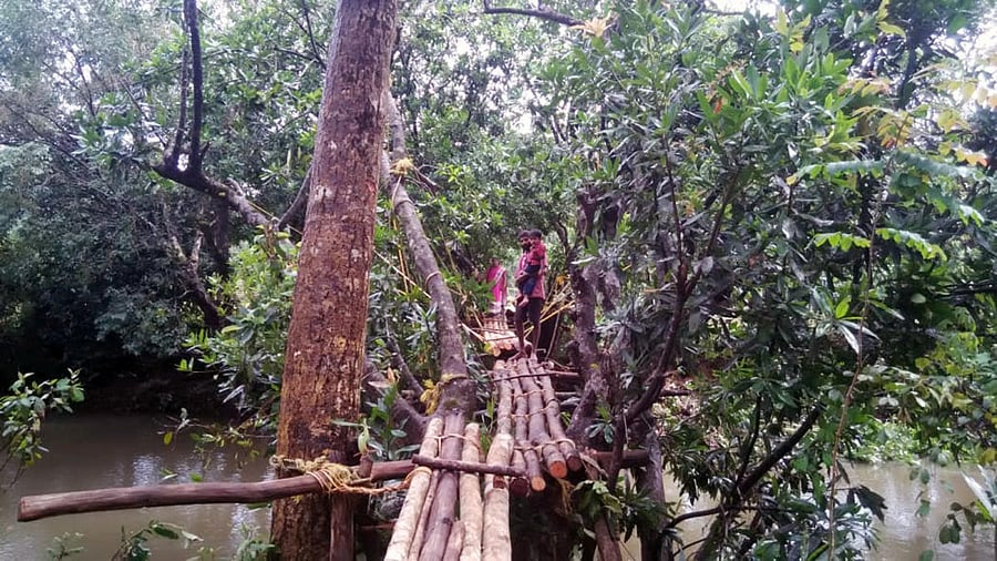A dangerous foot-bridge at Hemmige in Sringeri.