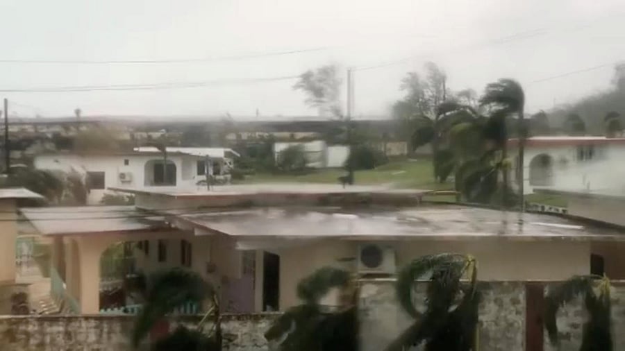 Trees sway during a storm as Super Typhoon Yutu descends upon Saipan, Northern Mariana Islands, U.S., October 25, 2018, in this still image taken from a video obtained from social media. @emmaninspn/via Reuters.