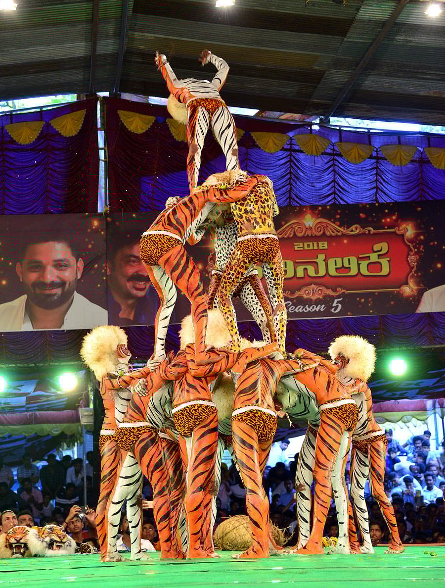A ‘Huli Vesha’ team performs at the Pili Nalike 2018 in Mangaluru on Thursday.