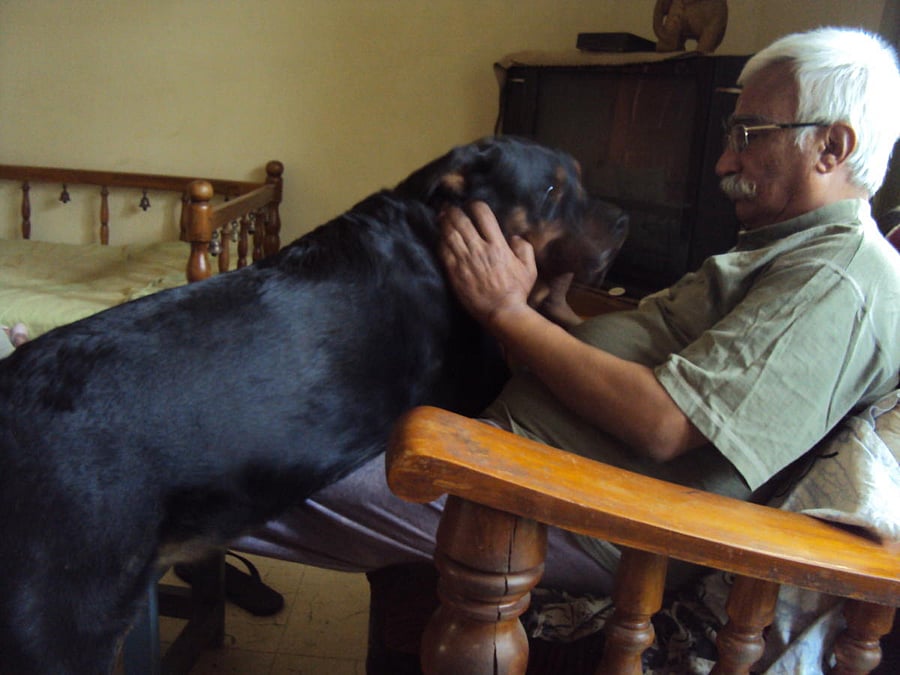 Meshach with Pepper.