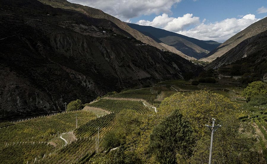 This aerial photo taken on October 10, 2018 shows a view of the Ao Yun vineyards in a valley located beneath the Meili mountain in Adong, in southwestern China's Yunnan province. (AFP Photo)