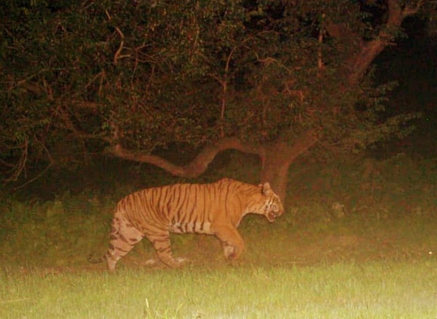 Since June 1, Bengaluru city has received 525 mm, as against the normal of 309 mm.
