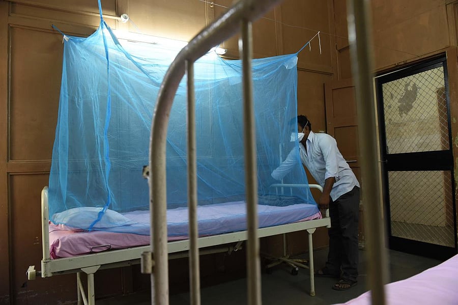 The number of Zika cases has mounted to 127 in Madhya Pradesh, including the death of two people who had tested positive for the virus. AFP File Photo/ representation only