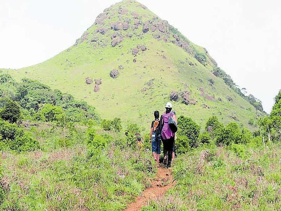 Muthappa said that, in the backdrop of heavy rain and landslides, the district administration had prohibited the entry of visitors to the hilly ranges.