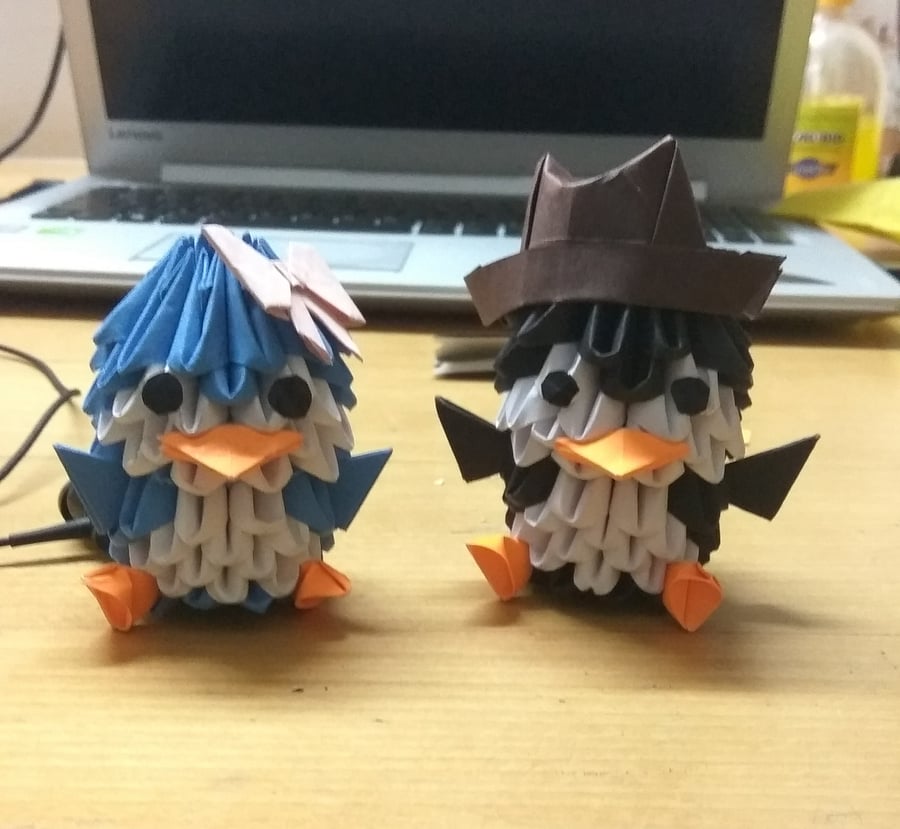 Rishi says the time taken to complete a piece depends on the complexity of the origami.