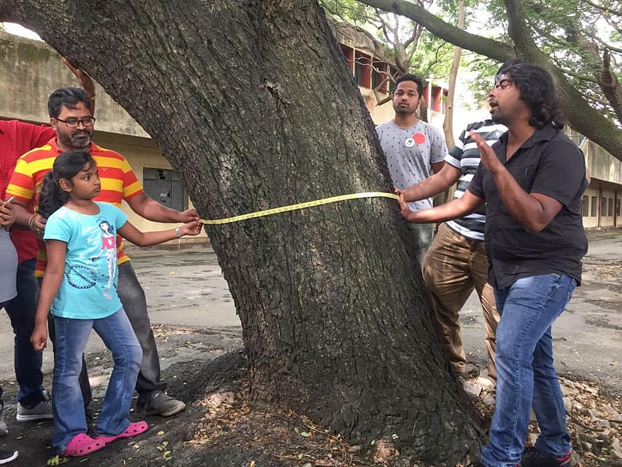 A 14-member team of students and residents, belonging to 'I Change Indiranagar' counted nearly 500 trees of different species in Defence Colony, Indiranagar.