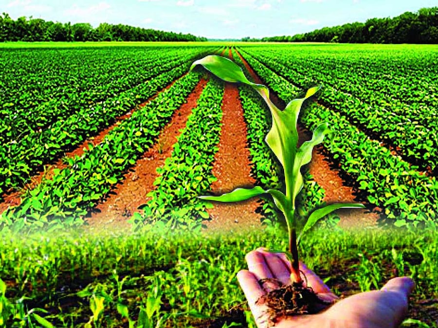 The Cabinet also decided to remove all export restrictions on organic and agro-processed food products under the first ever agriculture export policy in the country which aims to double farm sector exports to $60 billion by 2022.