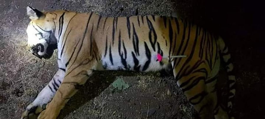 The committee stated the weapon used by Asghar Ali Khan to shoot T-1 was licensed on his father Nawab Shafath Ali Khan, who was not present with the team which eliminated T1 is on 2 November.