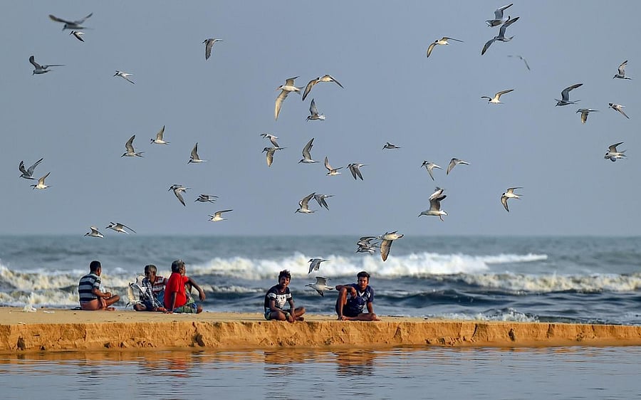 The total cost of the project is USD 44.04 million, of which the government will provide USD 13.04 million. It is expected to be completed in June 2020. (PTI File Photo)