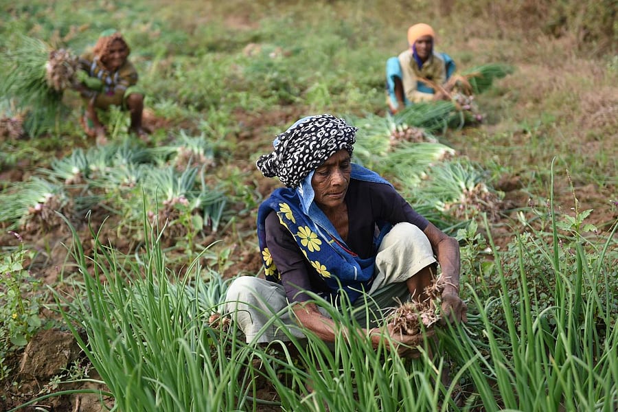 Sanjay Sathe, a farmer from Niphad tehsil of Nashik district, had sent Rs 1,064, his earnings from onion sale in the wholesale market, to Prime Minister Narendra Modi on November 29 as a protest.
