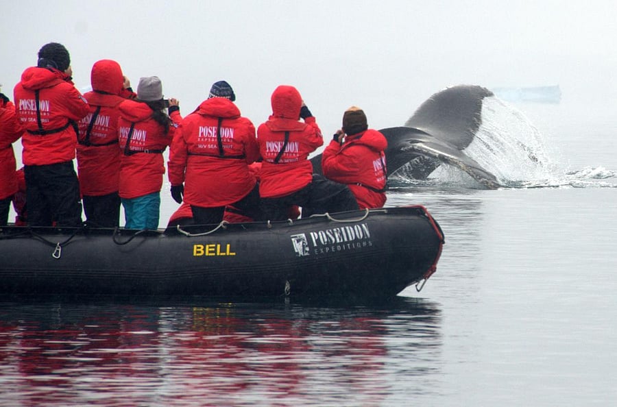 Antarctica