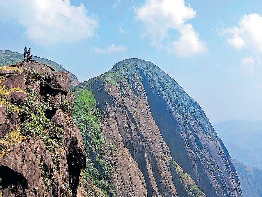 The policy is inspired from similar incentives filmmakers are given overseas for promoting tourism, Law Minister Krishna Byre Gowda told reporters after the Cabinet meeting.