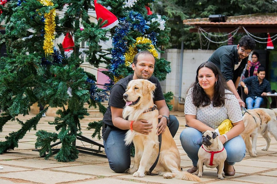 Therpup Dog Cafe in Whitefield has planned an adoption drive in the Christmas season.
