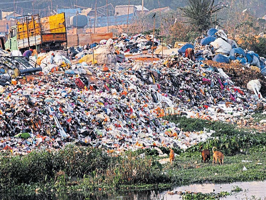 Truckloads of debris and garbage were found dumped into the lakebed, creating a health hazard for thousands of office-goers who use the road that runs along it.  File photo/ representation purpose only 