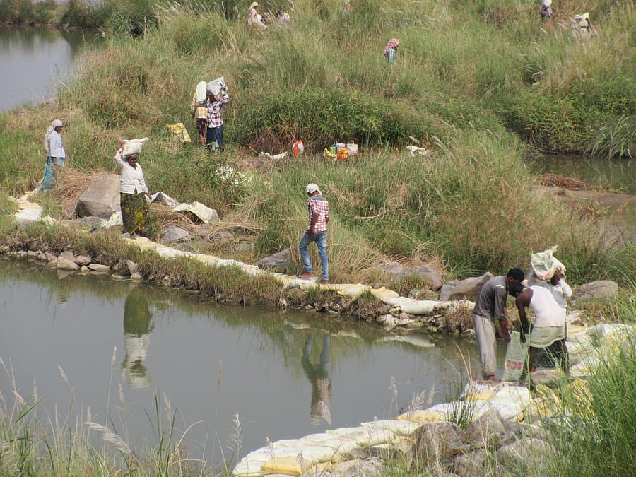 Workers busy placing the sand bags to construct a wall to store water in river Krishna near Shakthinagar in Raichur district. DH Photo