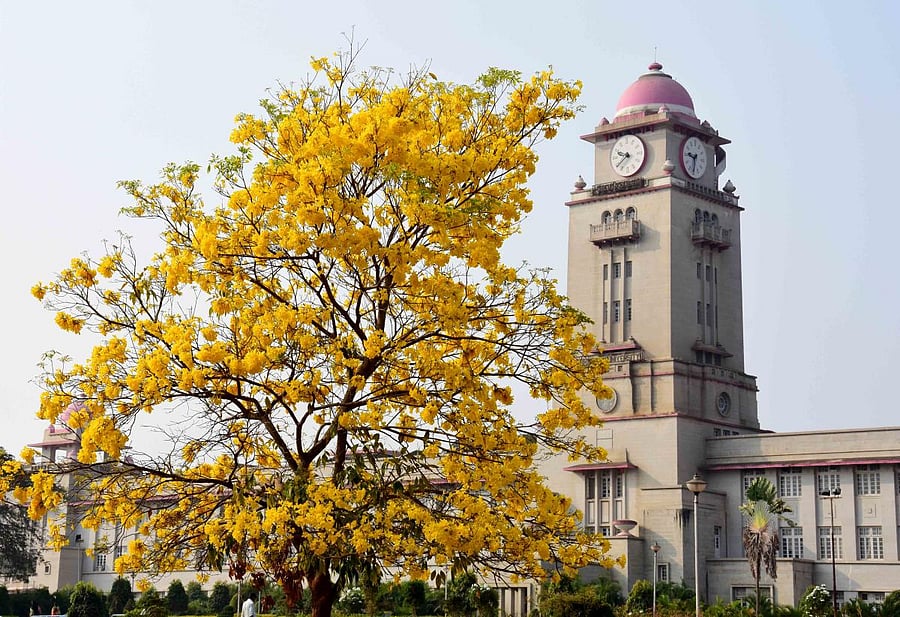 The state government has in recent years resorted to the practice of appointing serving VCs as members/chairpersons of the search committees, which is a violation of the established convention. DH Photo/B M Kedarnath