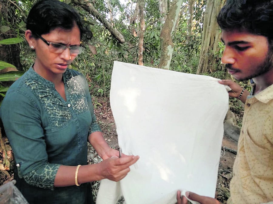 Udupi District Entomologist Muktha collects infected ticks in a test tube with the help of Tick Collector Vighnesh at Uddinamakki Marase village in Kandlur Gram Panchayat jurisdiction in Kundapur taluk.
