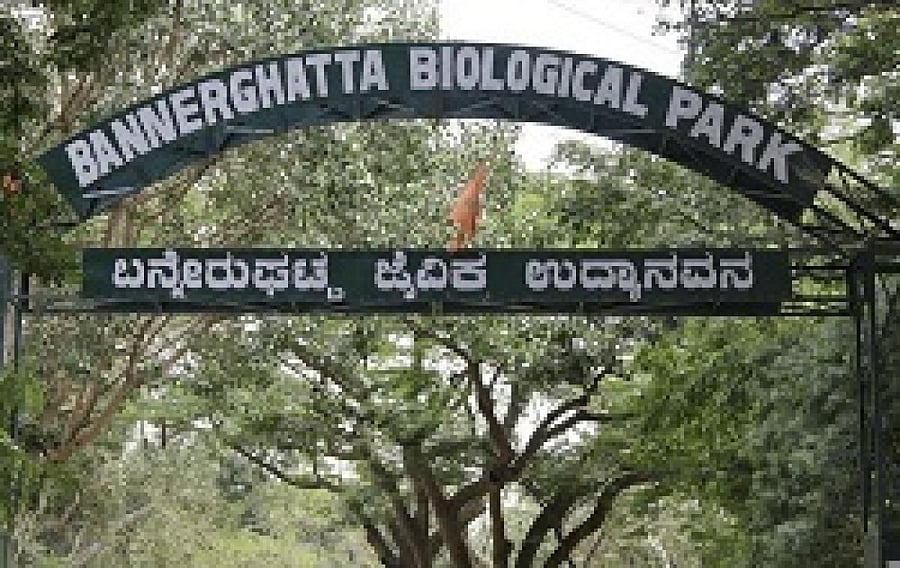 The Bannerghatta Biological Park will be renamed as Bengaluru Bannerghatta Biological Park from February. DH file photo