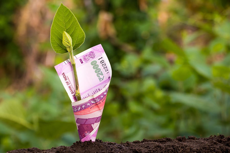 Under volatile market conditions, one should have significant exposure to fixed income securities for capital preservation, fixed income exposure can either be gained through debt mutual funds or through extremely safe banks FDs or high rated corporate debt instruments.