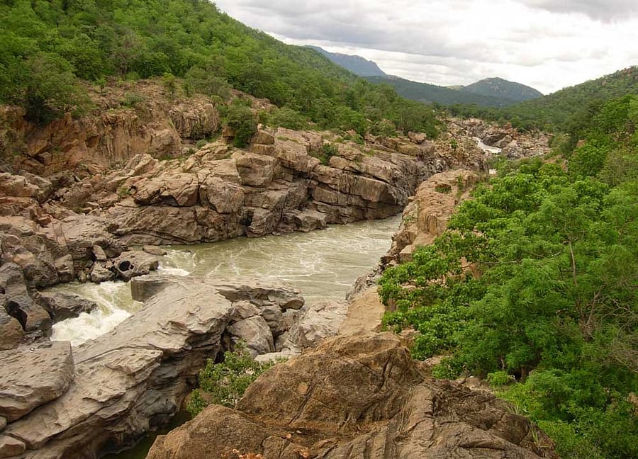 The Mekedatu project, intended to meet drinking water needs, is proposed to be built across the Cauvery river with a gross storage of 67.16 tmc and live storage of 66.85 TMC with installed capacity of 400 MW at an estimated cost of Rs 5,912 crore. (DH File Photo)