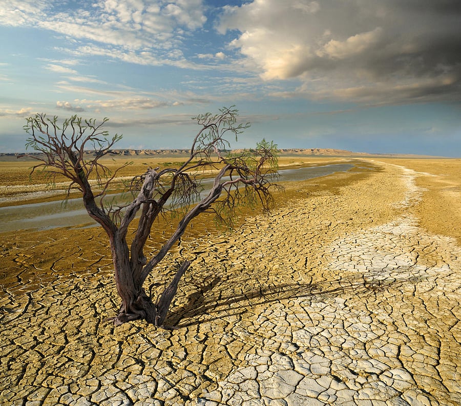 According to scientists at NASA's Goddard Institute for Space Studies (GISS) here, global temperatures in 2018 were 0.83 degrees Celsius warmer than 1951 to 1980 mean.