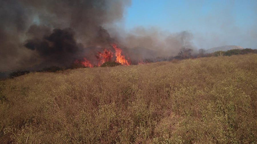 Forest fire near Devapura village. DH photo.