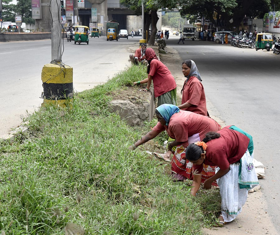 As nation is observing one day strike under various trade unions, these Pourakarmikas are spending their day as usual with their job at Goraguntepalya in Bengaluru on Friday. -Photo/ M S MANJUNATHGoraguntepalya