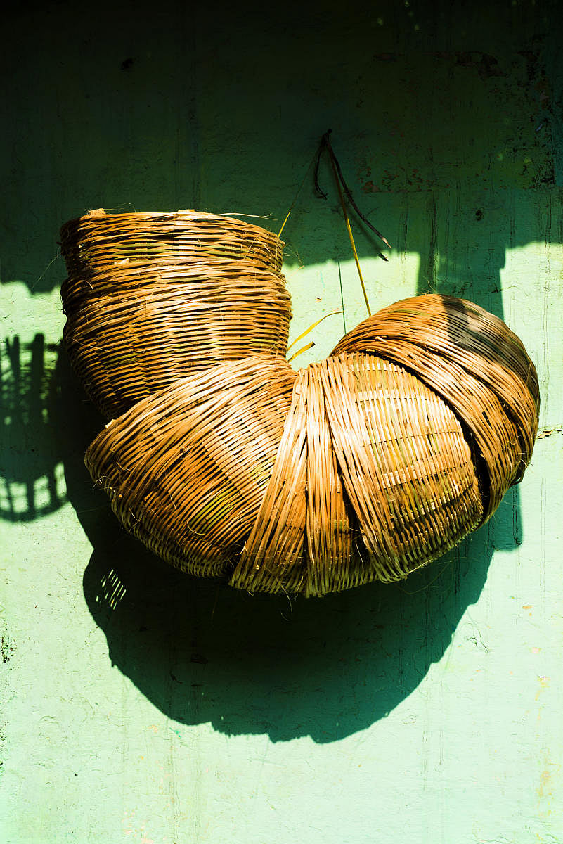 A work of art by ace shutterbug Vivek Mathew.