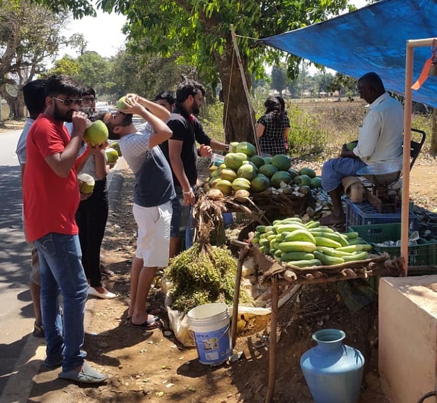 Tourists drink from tender coconuts before heading to the hilly ranges in Chikkamagaluru.