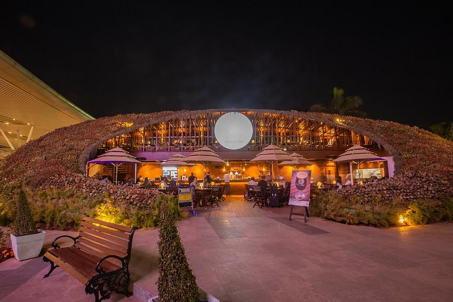 Windmills at the KIA.