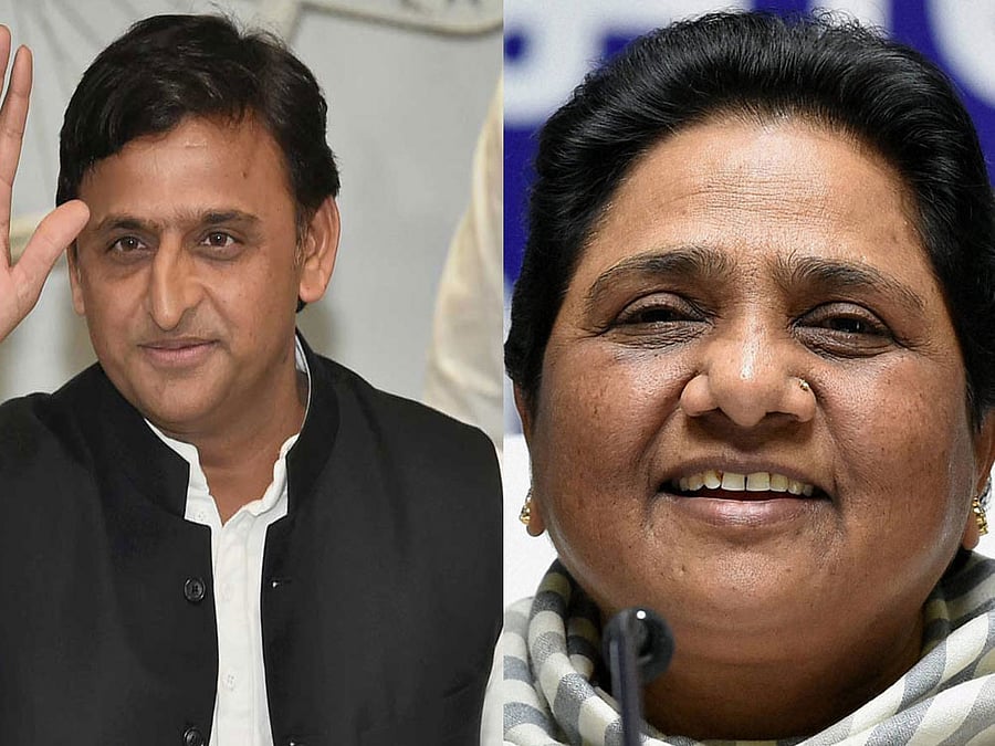 Samajwadi Party leader Akhilesh Yadav and BSP Chief Mayawati. PTI file photo