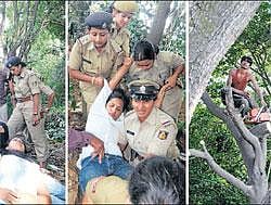 Brute BBMP power fells trees, people