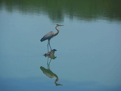 File photo. For representational purpose only.