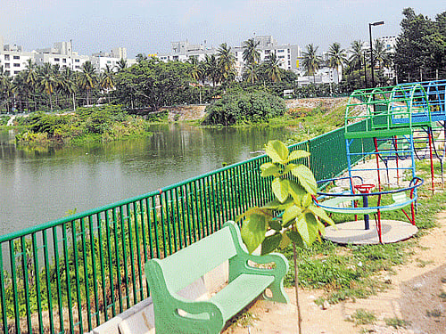 The Seetharamapalya lake has been fenced to protect it from encroachers. Fencing is a crucial aspect in the preservation of water bodies. DH file photo