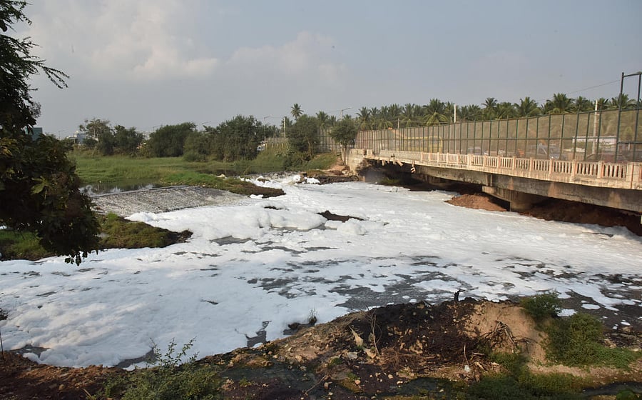 Foam in the Varthur lake.