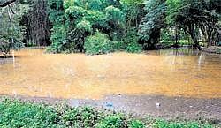 Flooded: Following heavy downpour in the last two days in the City, tanks in Cubbon Park are full. DH Photo