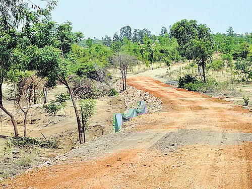new attraction: Construction of road for tiger safari at the proposed Atal Bihari  Vajpayee Zoological Park at Bilikallu reserve forest in Hosapete taluk underway.  (Right) Watch tower constructed at the zoo that is spread 500 acres of land. dh photos