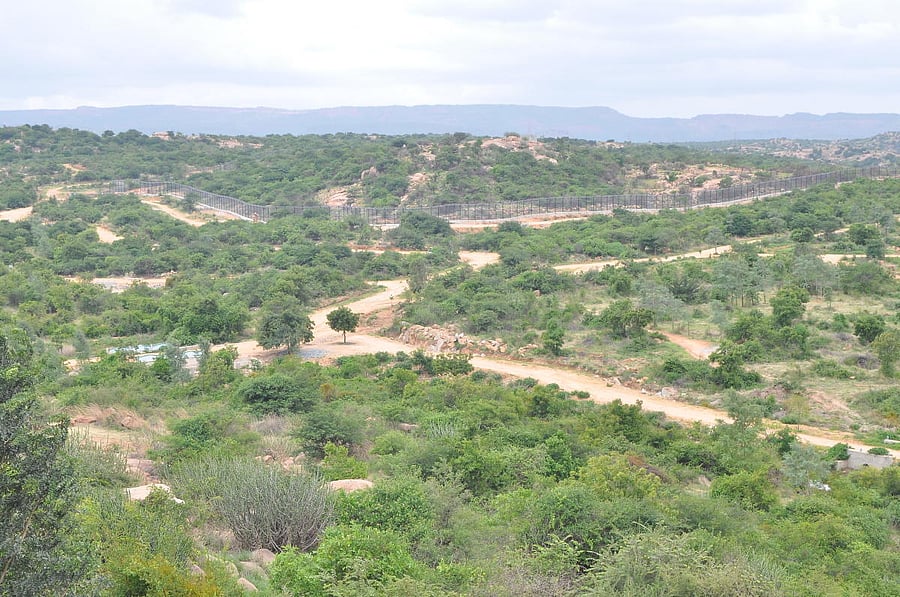 The fenced area of the park